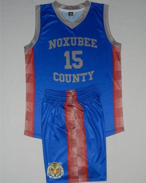 Royal Blue Basketball Jersey and Shorts