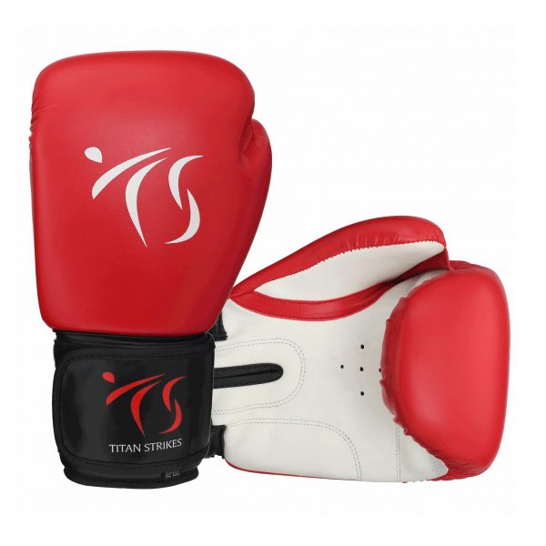 TS Training boxing gloves